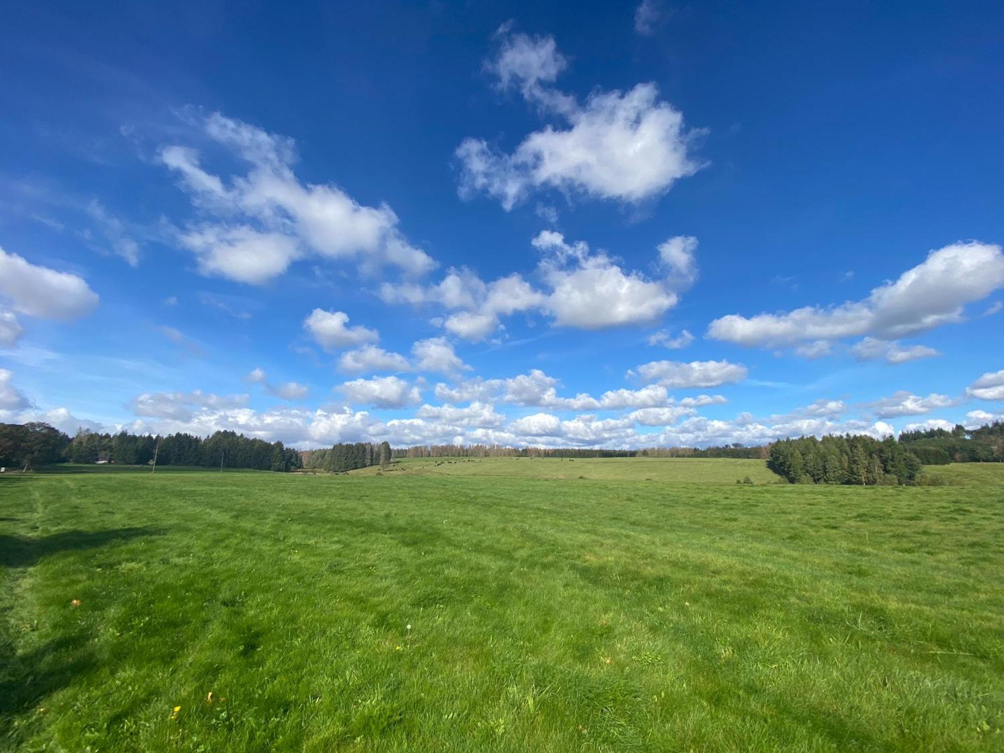 Ferienwohnung Harz #3, Pool, Sauna, Wlan Hohegeiß Eksteriør bilde