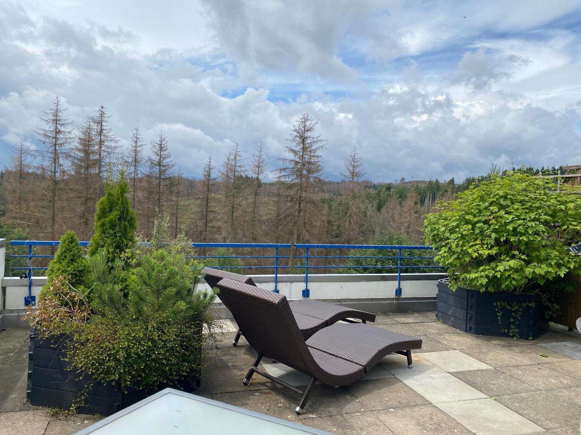 Ferienwohnung Harz #3, Pool, Sauna, Wlan Hohegeiß Eksteriør bilde